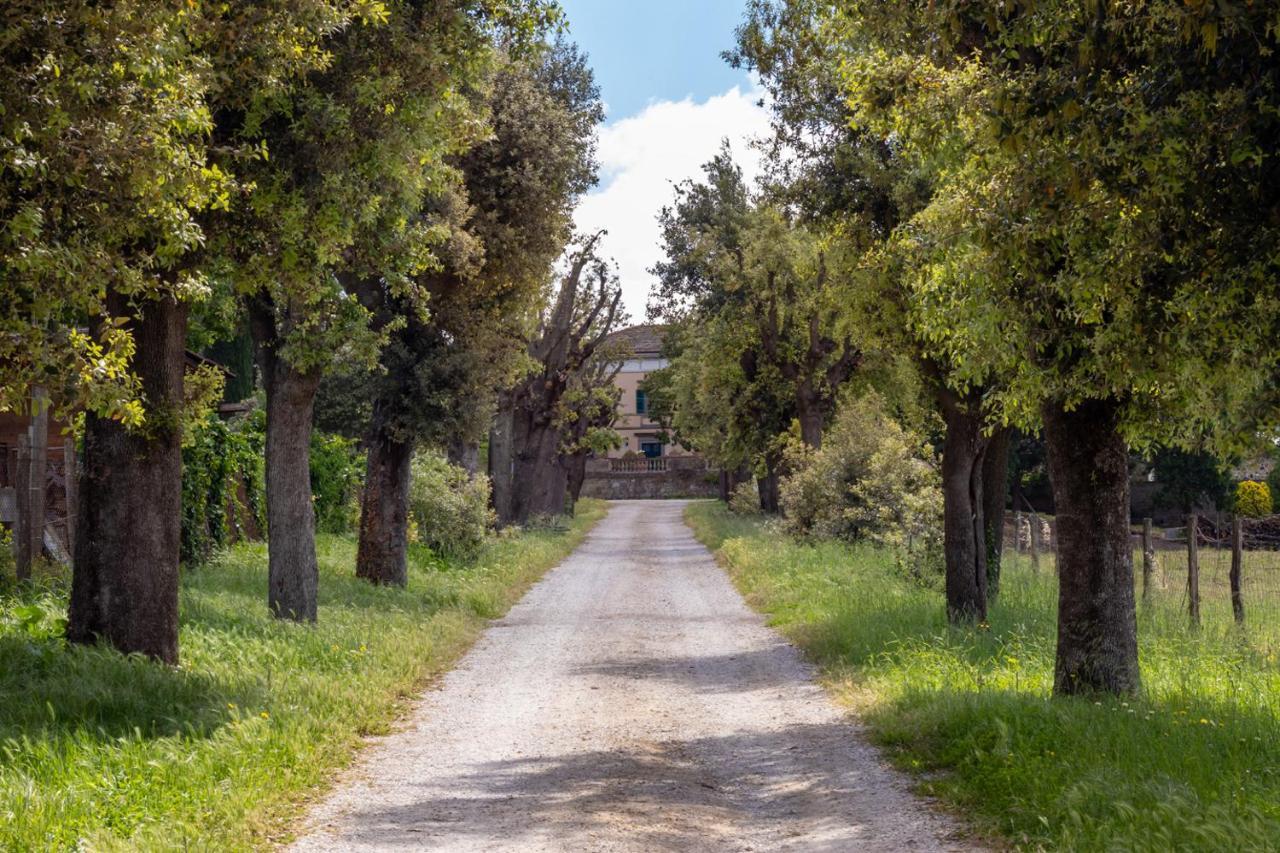 Villa Cornossa Marta Dış mekan fotoğraf